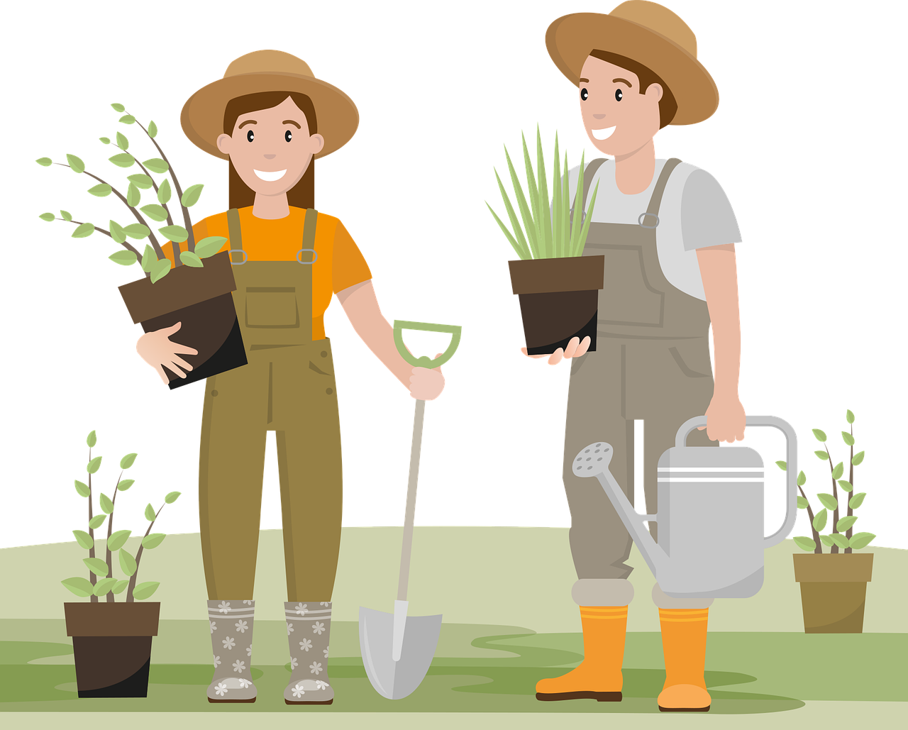 RHS Certified Gardener